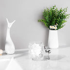 Home Glass Cotton Jar Holder Nickel Lid, Elegant Bathroom Storage Canister for Qtips, Cotton Balls, Floss, Makeup Organizer, Vanity Bathroom Organization (UPDATED NICKEL)