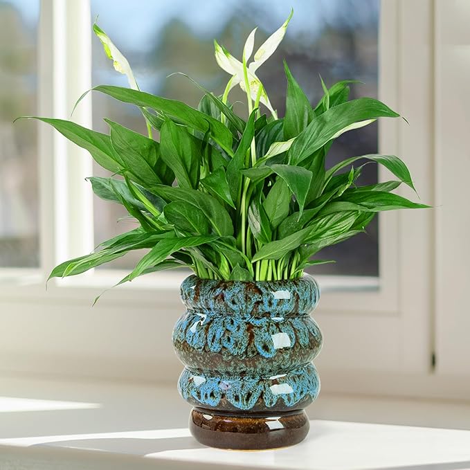 Ceramic 5 inch Plant Pot - Planter for Indoor Plants with Drainage Hole, Flower Pots for Orchid, Succulent,Outdoor Plants, Modern Glaze Planters for Home Office Decor Gift