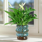 Ceramic 5 inch Plant Pot - Planter for Indoor Plants with Drainage Hole, Flower Pots for Orchid, Succulent,Outdoor Plants, Modern Glaze Planters for Home Office Decor Gift