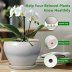 10 Inch Ceramic Planter Pot - Large Plant Pot with Drainage Hole and Saucer Round Flower Pot for Indoor Plants, White
