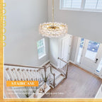 Modern Clear Flower Glass Chandelier 20" Elegant 6 Lights Gold Chandelier Light Fixture Luxury for Living Dining Room Kitchen Entryway Bedroom Foyer, E12