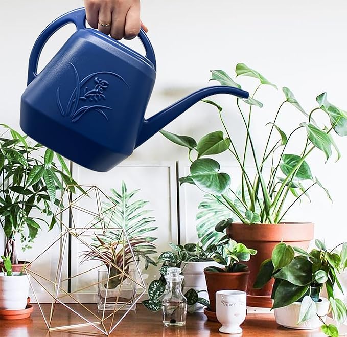 Watering Can for Home Garden - Blue - 1/2 Gallon