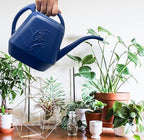 Watering Can for Home Garden - Blue - 1/2 Gallon