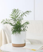 kubvici Indoor Plant Pots Planters 8 inch Plastic Planter with Hole & Saucer Flower Pots Modern Decorative for Outdoor Garden Home (White x 3 Pack)