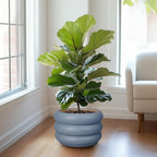 SQOWL Ceramic Planter for Outdoor Plants 13.5 Inch - Plant Pot with Drainage Hole Large Pot for Plants Indoor Unique Round Planter for Entry Way Table Home Decor Gray