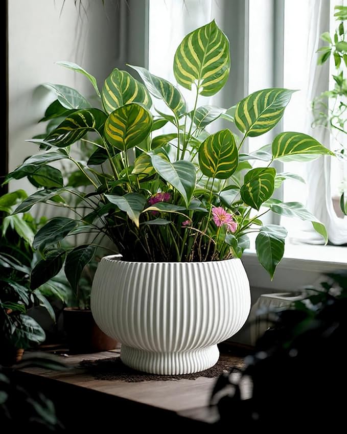 OXART 9.4 Inch Plant Pots, Ceramic Planters for Indoor Plants, Outdoor Flower Pots for Plants with Drainage Holes, Decorative Pot for Flowers & Herbs, No Trays, White