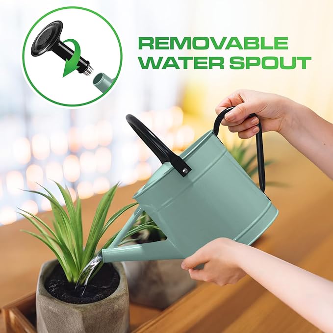 Plexon 1 Gallon Metal Watering Can Outdoor, Flower Plant Gardening Garden Large Watering Can Pot, Black Galvanized Steel Handles and Removable Spray Spout, Aqua Mist Blue