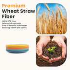 Homienly 5.7 Inch Small Plates-Wheat Straw Mini Plate, Unbreakable Plate Set Ideal for Dessert, Appetizers, Small Serving, Side Dish, Lightweight Dessert Dishes Plates, Set of 8, Colorful