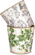 Sungmor Vintage Ceramic Planter Set of 2 - Decorative Indoor & Outdoor Flower Pots with Drainage Holes - Tuscan Décor Pots, 5.5" Ice Crackle Glaze Planters for Home, Kitchen, Patio, and Garden