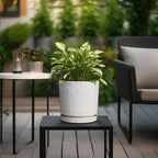Ceramic Planter for Indoor Plants - 8 Inch Plant Pot Outdoor Flower Pot with Drainage Holes and Saucer Modern Round Planter Succulent Pot for Home Garden Decor White