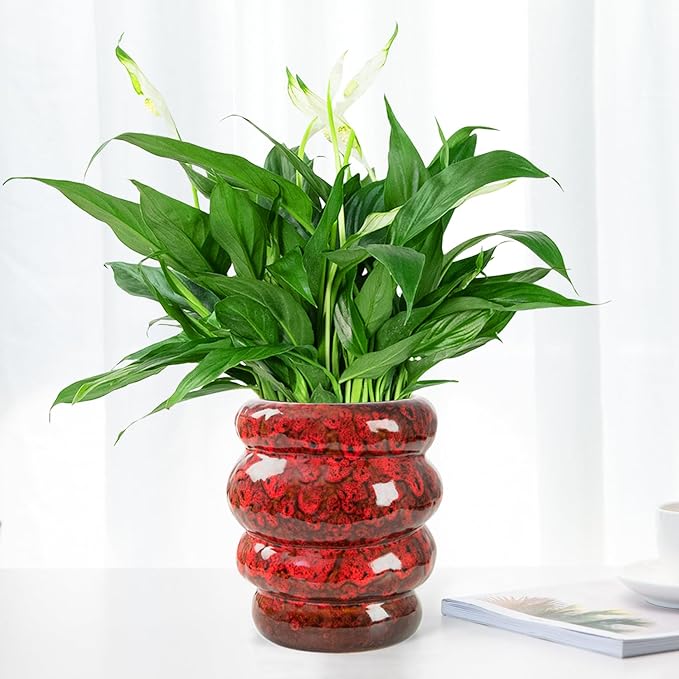Ceramic 5 inch Plant Pot - Planter for Indoor Plants with Drainage Hole, Flower Pots for Orchid, Succulent,Outdoor Plants, Modern Glaze Planters for Home Office Decor Gift