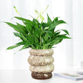 Ceramic 5 inch Plant Pot - Planter for Indoor Plants with Drainage Hole, Flower Pots for Orchid, Succulent,Outdoor Plants, Modern Glaze Planters for Home Office Decor Gift