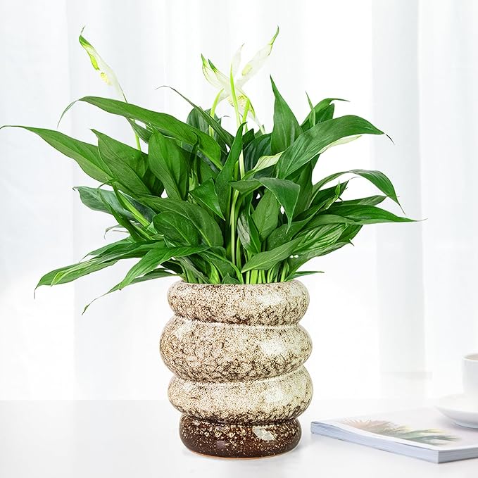 Ceramic 5 inch Plant Pot - Planter for Indoor Plants with Drainage Hole, Flower Pots for Orchid, Succulent,Outdoor Plants, Modern Glaze Planters for Home Office Decor Gift