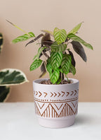 Geometric Ceramic Planters, 6 Inch Hand-Painted Ceramic Embossed Plant Pots with Drainage Holes, 2 Set Boho Minimalistic Planters for Indoor and Outdoor Plants(Beige & Brown)