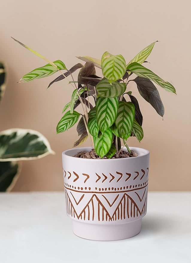 Geometric Ceramic Planters, 6 Inch Hand-Painted Ceramic Embossed Plant Pots with Drainage Holes, 2 Set Boho Minimalistic Planters for Indoor and Outdoor Plants(Beige & Brown)