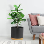 10 Inch Large Deep Plant Pots for Indoor Outdoor, Tall Cylinder Flower Pots with Drainage Holes & Saucer, Big Plastic Planter Pots for Garden House Plants, Black with Brown