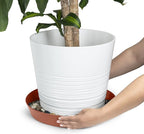 Saucers 10 Inch (8.3 Inch Base) Case of 5 Plant Saucer - Terra Cotta Colored Polypropylene
