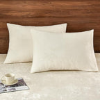 PHF Super Soft Velvet Pillowcases Standard Size, No Insert, 2 Pack Luxury Cozy Warm Pillow Shams Covers with Envelope Closure, 20" X 26" Cozy Fuzzy Flannel Pillow Case, Cream