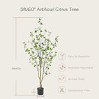 Bellacat 5ft Artificial Minimalist Citrus Tree with Lifelike Leaves, 60in Faux Citrus Tree with Realistic Trunks, Faux Tree Indoor Outdoor for Home Office Living Room Bedroom Porch Decor.