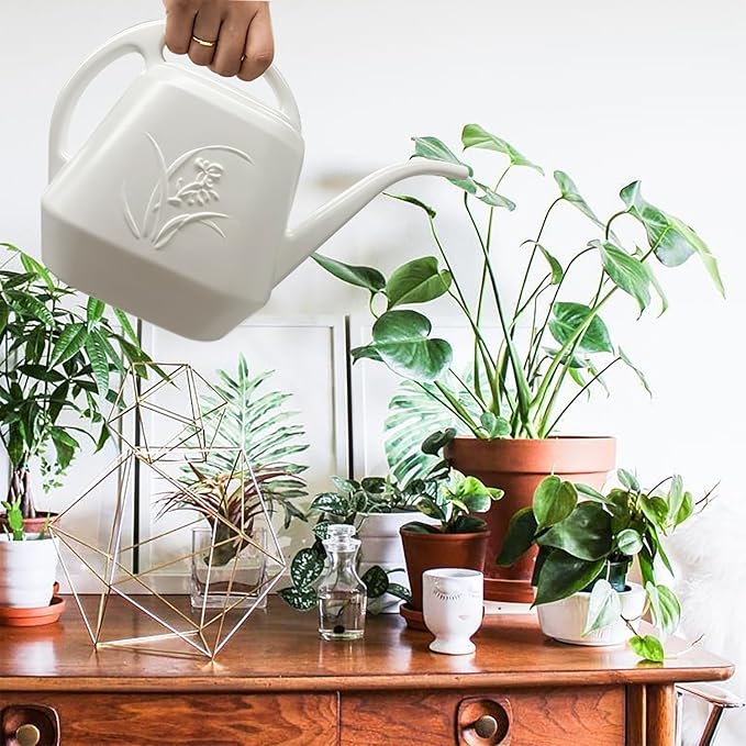 Plant Watering Can - Indoor and Outdoor Home Garden - 1/2 Gallon - White