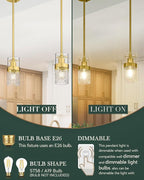 LMS Gold Pendant Light, 1-Light Pendant Lighting for Kitchen Island with Hammered Glass, LMS-171