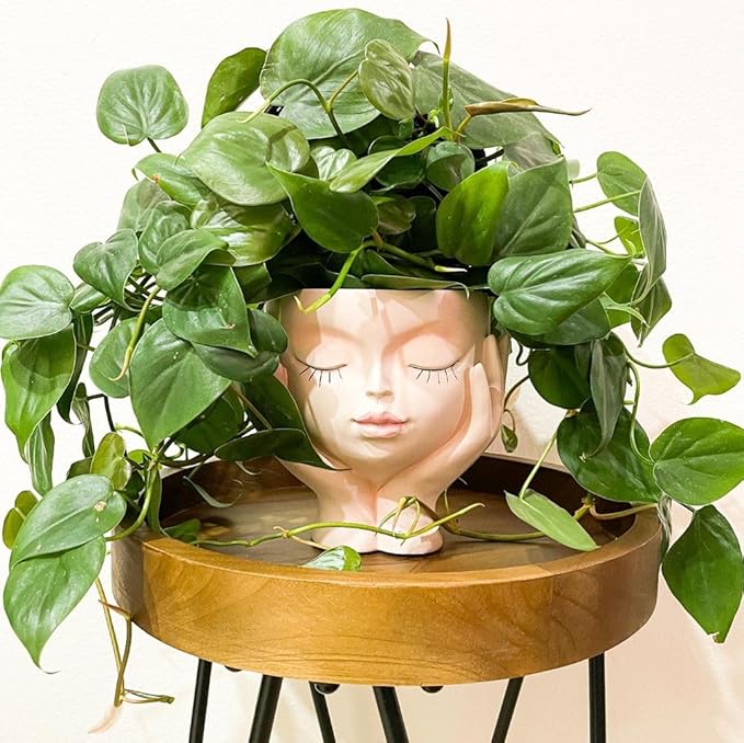 Face Planter Pots for Indoor Plants, Resin Cute Face Flower Pot for Indoor Outdoor Plants with Drainage Hole, Closed Eyes 5.3" Dia 6.3" Tall