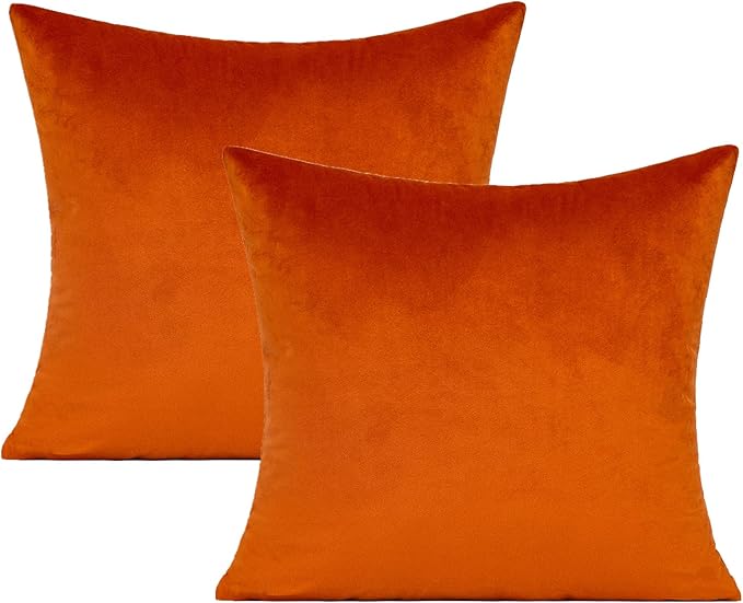 Burnt Orange Fall Throw Pillow Covers 18x18 Decorative Outdoor Thanksgiving Autumn Couch Rust Velvet Decor Cushion Cases Home Decoration for Porch Patio Sofa Bedroom Car Set of 2