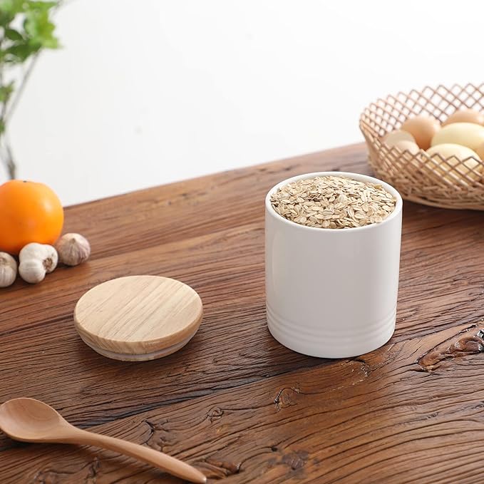 LEETOYI Ceramic Food Storage Jar with Seal Lid, Serving for Ground Coffee, Tea, Sugar, Salt and More - 31 Oz (White)