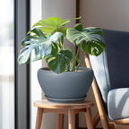 Ceramic Plant Pot - 11 Inch Planter for Indoor Plants Large Plant Pot with Drainage Hole and Saucer Round Outdoor Planter Modern Flower Pot for Home Decor Gray