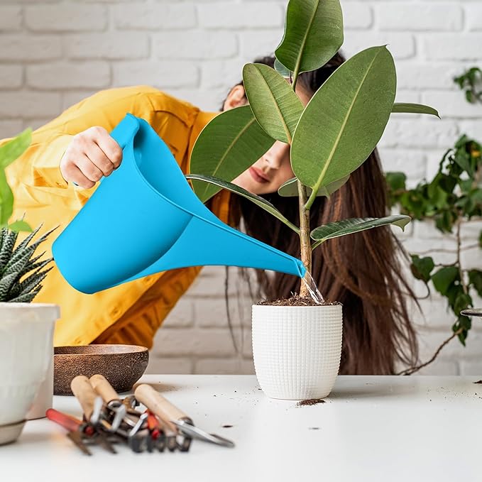 Plastic Watering Can for Indoor and Outdoor Plants - Home Garden - 1/2 Gallon - Blue