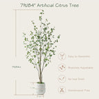 Bellacat 7ft Minimalist Artificial Citrus Tree with Large Exquisite Planter, 84in Faux Citrus Tree with Realistic Leaves, Faux Tree Indoor Outdoor for Home Office Living Room Bedroom Porch Decor.