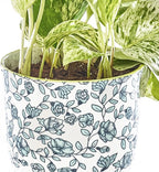 CHIVE ‘Liberte’ Ceramic Succulent Pots — 4.25” Cute Vintage Farmhouse Style Planters for Indoor Plants — Beautiful Home & Kitchen Decor — Green Flowers