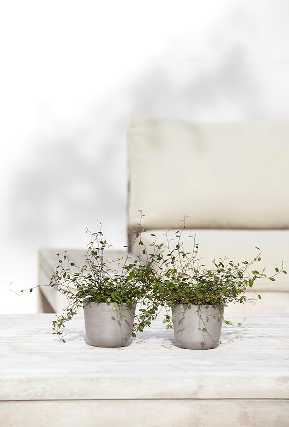 Ecopots Oslo Mini Durable Modern Round Indoor/Outdoor Recycled-Based Composite Flower Pot Planter, Taupe, 4.5"