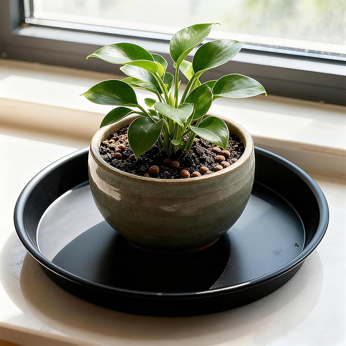 TITE Plant Saucer 16 inch,Heavy Large Planter Durable Thicker Plastic Plant Trays for Indoors and Outdoor,Plant Saucer Drip Trays,Black (16 inch, Black)
