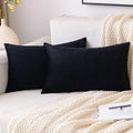 EMEMA Pack of 2 Velvet Throw Pillow Covers Decorative Rectangle Pillowcase Soft Solid Cushion Case for Sofa Bedroom Chair Car 12x20 Inch Black
