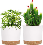 QCQHDU 5 inch Plant Pot, 2 Pack Planters for Indoor Plants with Drainage Holes & Saucer, Outdoor Flower Pots Home Garden Modern Decor