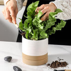 Hasense Small Plant Pot, 4.6 Inch Ceramic Succulent Flower Pots with Drainage Hole and Tray, White Indoor Planter Pot for Cactus, Gardening Home Desktop Office Windowsill Decoration Gift, Set of 4