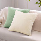 Pallene Faux Fur Plush Throw Pillow Covers 18x18 Set of 2, Soft Fluffy Couch Pillow Covers for Living Room, Sage Green