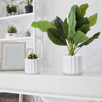 Olly & Rose Vertical Striped Ribbed Plant Pots - Charcoal Speckled White Planters - 6.5" and 5.3" Diameter Flower Pots for Indoors and Outdoors (White Ribbed)