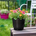 8 Inch Plant Pot - Ceramic Pots for Plants with Drainage Hole and Saucer, Round Planter for Indoor Outdoor, Modern Flower Pot, Gifts for Plant Lovers, Home Room Garden Porch Decor, Black