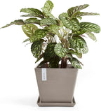 Ecopots Rotterdam Durable Modern Square Indoor/Outdoor Recycled-Based Composite Flower Planter, Taupe, 12"
