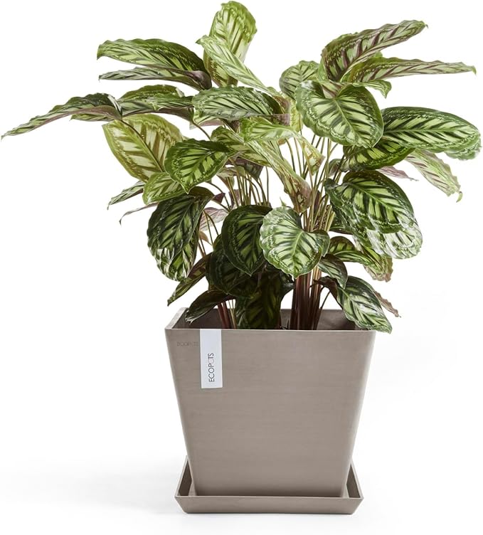 Ecopots Rotterdam Durable Modern Square Indoor/Outdoor Recycled-Based Composite Flower Planter, Taupe, 15.75"