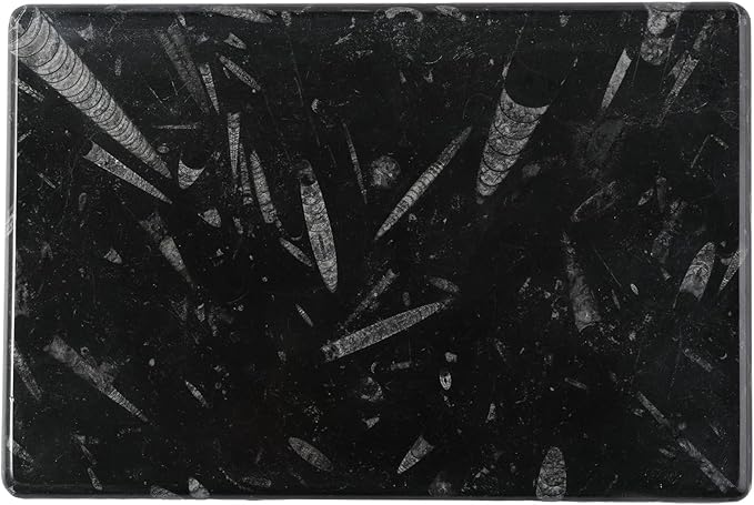 Natural Moroccan Fossil Stone Tray - Black Marble Decorative Serving Board for Charcuterie, Cheese, Pastry - Jewelry, Candles, Perfume, Trinket Plate, Kitchen & Home Decor Centerpiece 12"x 8"