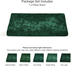 PHF Truly Velvet Zippered Body Pillowcase, No Insert, 1 Pack Ultra Soft Breathable Pillow Sham Cover with Zipper, 20"X 54" Long Luxury Cozy Warm Fuzzy Flannel, Emerald Green