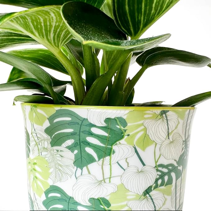 CHIVE 'Liberte' Ceramic Succulent Planters — Cute 4.25 Inch Vintage Style Pots for Indoor Plants — Beautiful Home and Kitchen Décor — Monstera