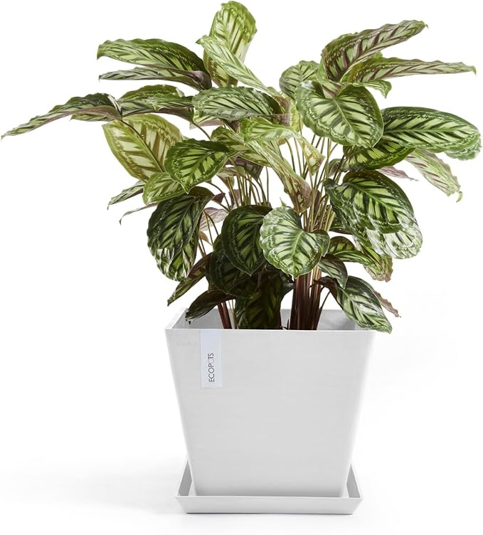 Ecopots Rotterdam Durable Modern Square Indoor/Outdoor Recycled-Based Composite Flower Planter, Pure White, 15.75"