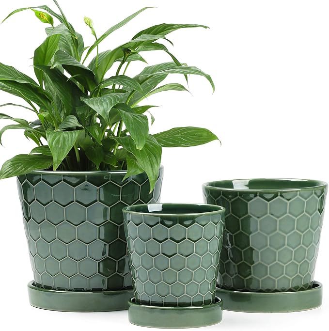 BUYMAX Ceramic Plant Pot – 4”+5”+6” inch Ceramic Flower Pot with Drainage Holes and Tray - Gardening Home Desktop Office Windowsill Decoration Gift Set 3 (Patina)