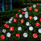 Red and White Solar Christmas String Lights, 2-Pack Total 100 LED 64FT Crystal Globe Solar Lights Outdoor Waterproof, Christmas Decorations with 8 Lighting Modes for Xmas Tree Wedding Patio Party
