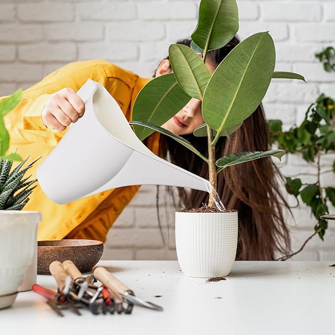 Plant Watering Can - for Home Garden - 1/2 Gallon - White