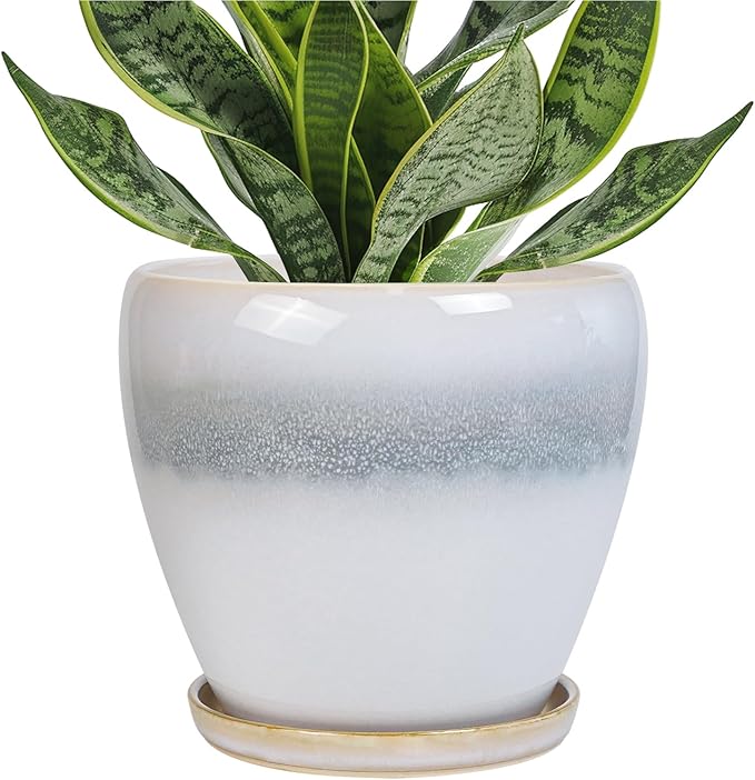6 Inch Plant Pot - Ceramic Planters for Indoor Ourdoor Plants, Modern Succulent Pot, Round Planter with Drainage Hole and Saucer, Room Office Garden Home Decor, Plant Lover Gifts, White-Grey